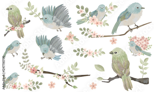 水彩で描いた小鳥と植物のイラストセット