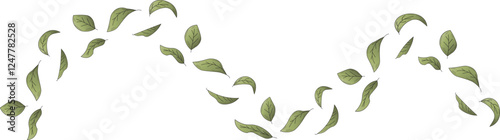 the illustration of leaves that are being blown by the wind.