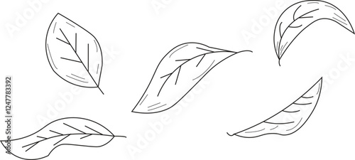 the illustration of leaves that are being blown by the wind.