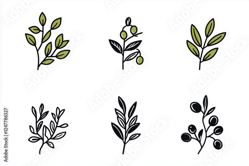 Obraz na płótnie vector set of olive green leaves w salonie