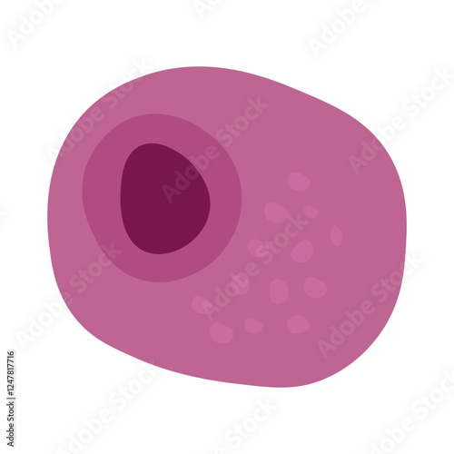 Cytomegalovirus