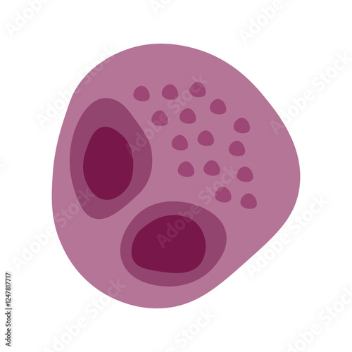 Cytomegalovirus