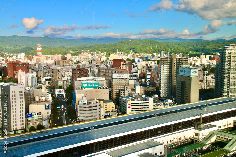 Fototapeta premium 盛岡の街並み・マリオスからの眺望(岩手県・盛岡市)