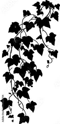 Hanging ivy vine silhouette border