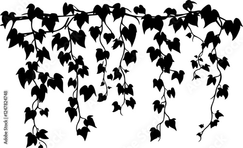 Hanging ivy vine silhouette border