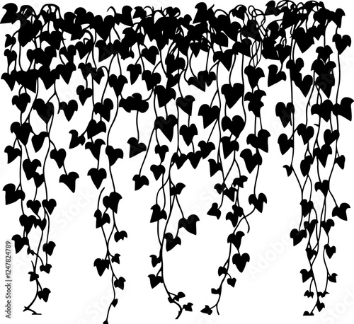 Hanging ivy vine silhouette border