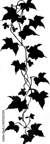 Hanging ivy vine silhouette border