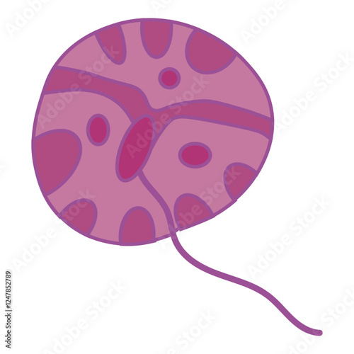 glenodinium dinoflagellates