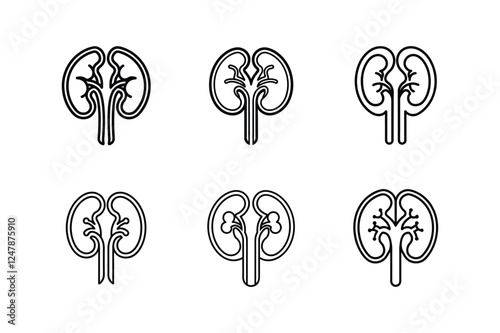 kidney icon line art vector illustration 