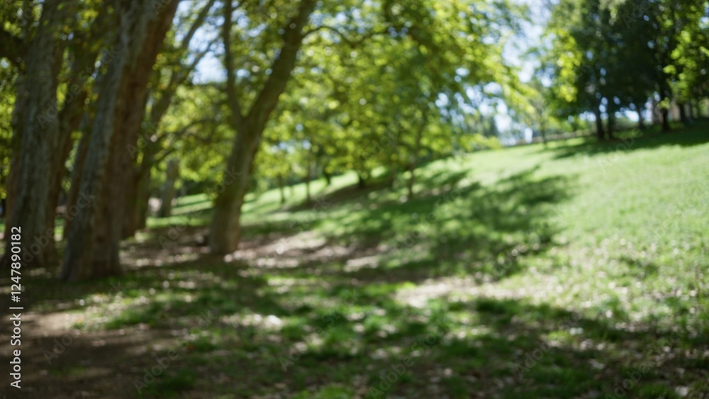 Blurred scenery in villa borghese, rome, with defocused greenery and bokeh effect captures serene outdoor ambiance under tree canopies. Blurred scenery in villa borghese, rome, with defocused greenery and bokeh effect captures serene outdoor ambiance under tree canopies.