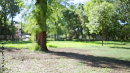 Blurred view of trees and grass in villa borghese gardens in rome, showcasing a defocused, sunny, natural outdoor scene with vibrant green foliage in italy. photo