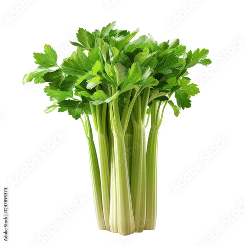 Fresh celery stalks with vibrant green leaves, perfect for salads and cooking. This healthy vegetable adds crunch and flavor to various dishes