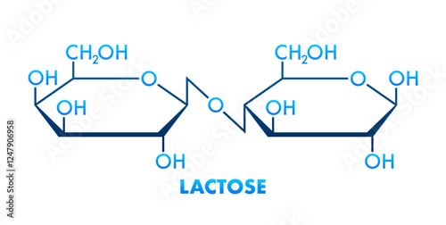 Lactose molecule structure consisting of galactose and glucose forming milk sugar photo