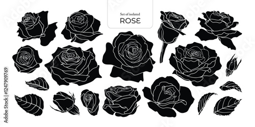 Set of isolated Rose. Cute flower illustration in hand drawn style. Black silhouette on a transparent background. Volume 2.