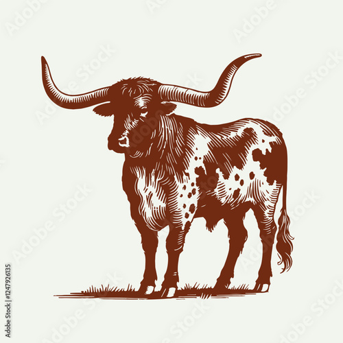 Texas Longhorns cattle vector