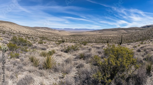 Expansive Desert Landscape with Clear Blue Skies and Scattered Vegetation
