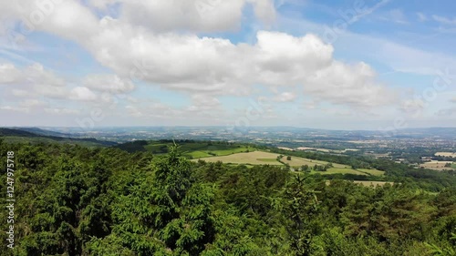 Wallpaper Mural Aerial rising shot of the tops of lush fir trees to reveal a stunning view of the Devon countryside Torontodigital.ca