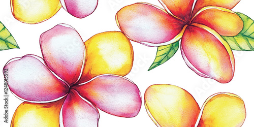 Seamless vector pattern vintage with frangipani flowers on white background, Vector illustration, Fabric pattern print design