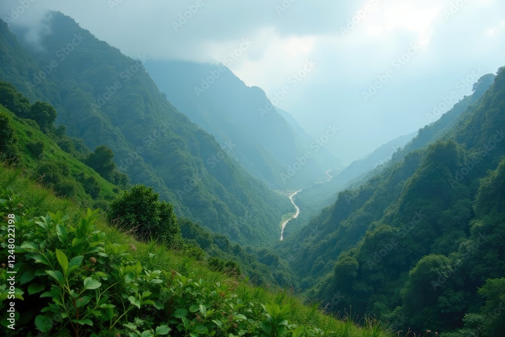 Obraz premium Misty mountainside blanketed with lush foliage, misty, earthy, landscape