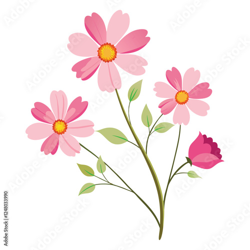 Pink daisy flowers isolated on white background with petals and leaves