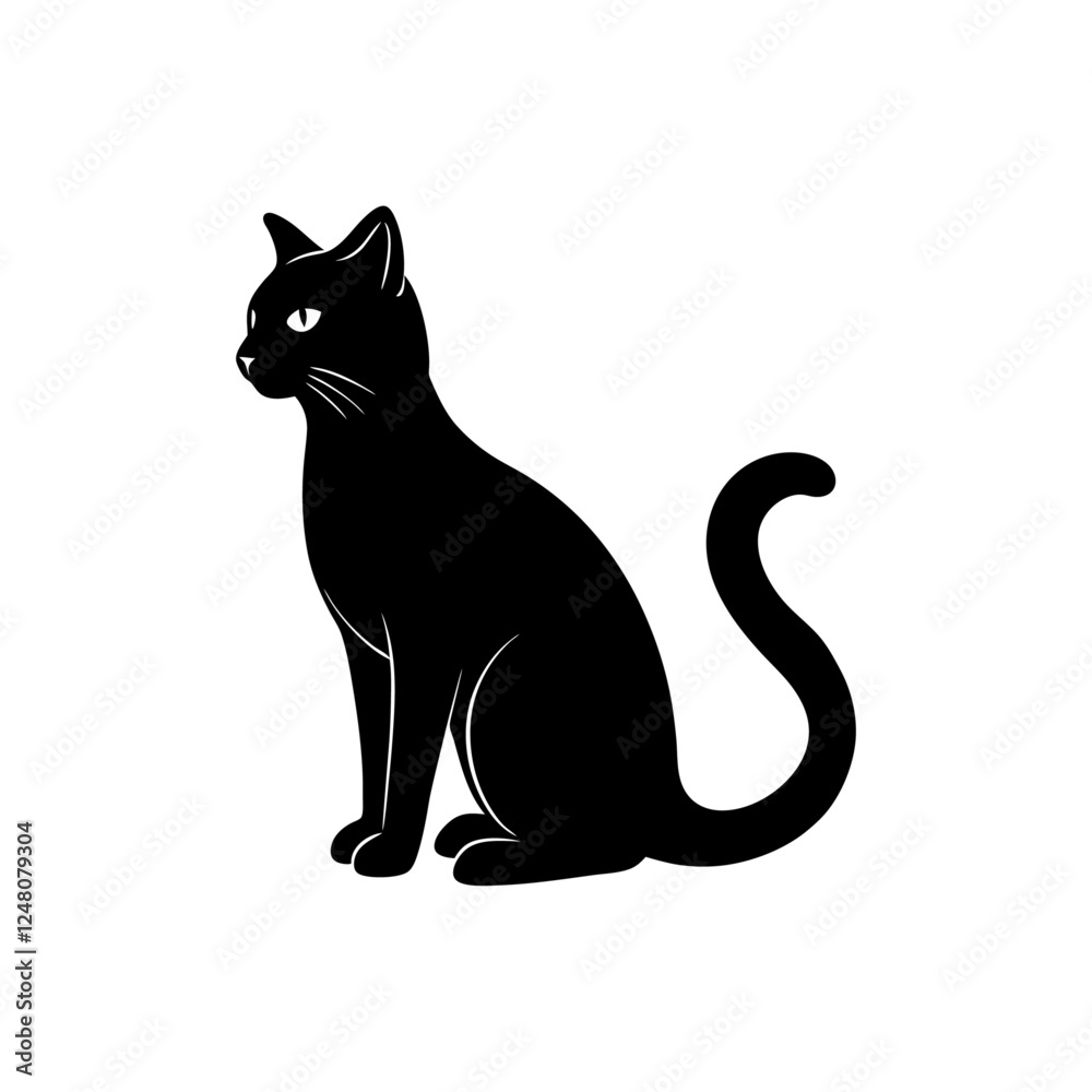 black and white cat black and white cat