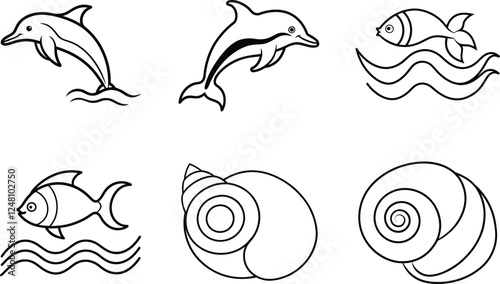 set of sea shells vector