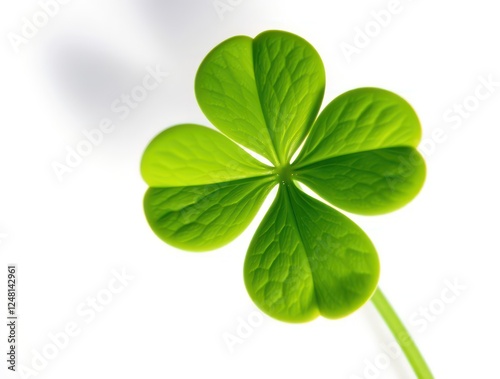 A bright green shamrock clover stands out against a white background, representing luck and the spirit of St. Patrick's Day, perfect for eco-friendly celebrations
