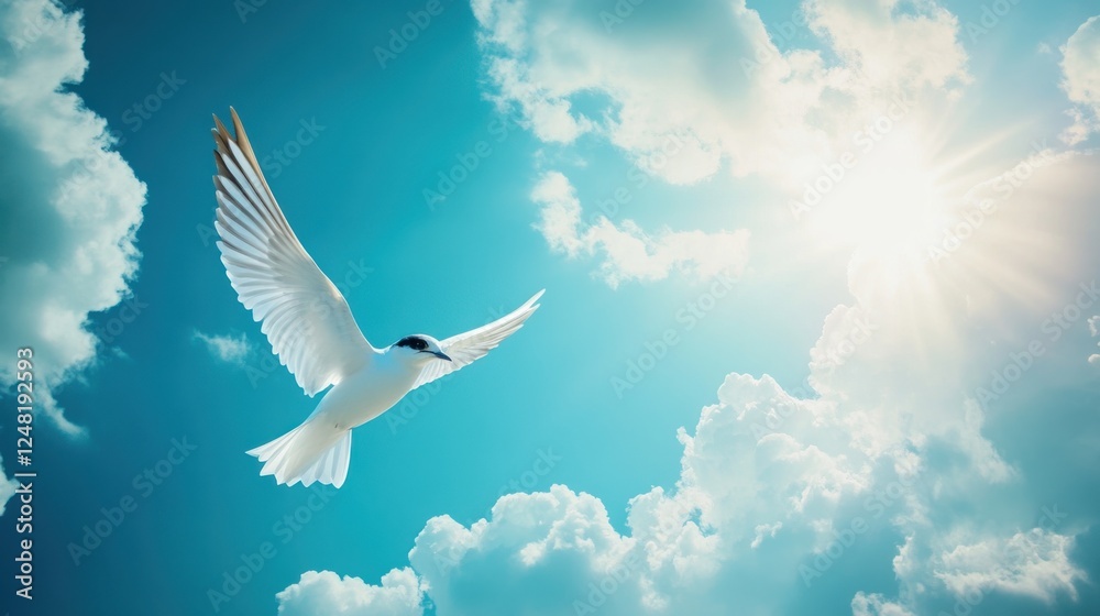Serenity in Flight, A White Tern Soaring Through a Sunlit Sky Serenity in Flight, A White Tern Soaring Through a Sunlit Sky