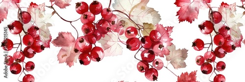 Patrn red currant on a white background photo