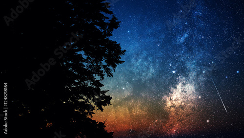 Milky Way stars with meteor shower trails and scountryside tree