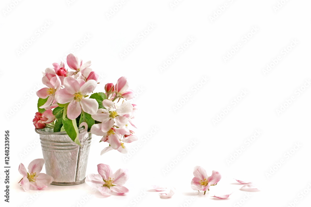 Fototapeta premium Spring flowers. Apple branch on white background. Card with copy space. Nature border.