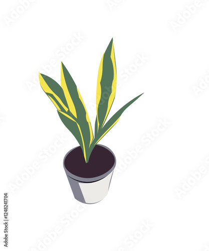 green plant in pot