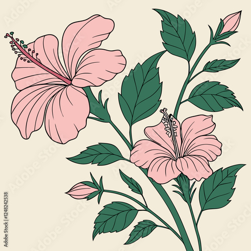 Botanical pink or red hibiscus flower vector design
