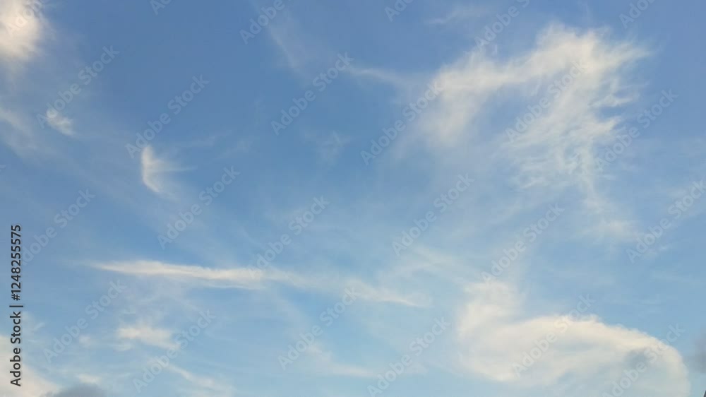 Artistic and mild grey cirrus clouds float in the evening blue sky Artistic and mild grey cirrus clouds float in the evening blue sky