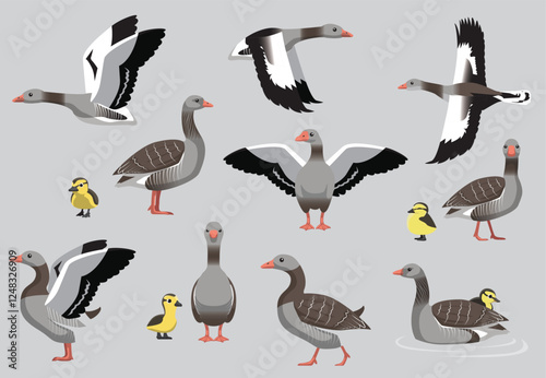 Greylag Goose Cartoon Silly Various Poses Vector Illustration