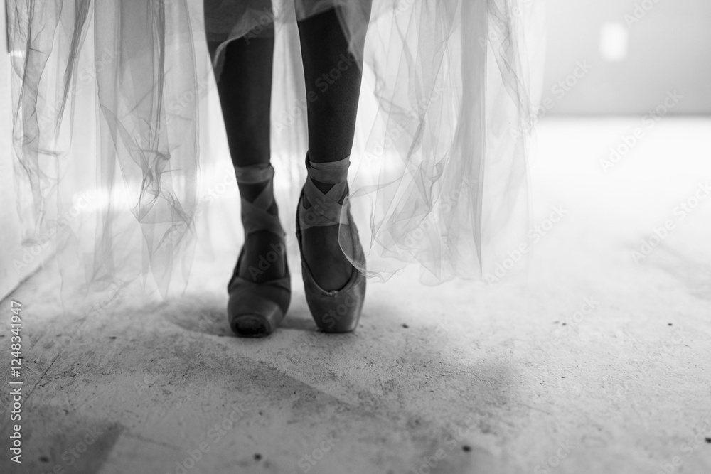 Black-and-white close-up of ballerina’s pointe shoes under tulle Black-and-white close-up of ballerina’s pointe shoes under tulle