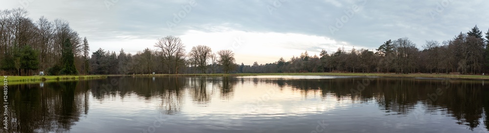 Mallard Ducks Swimming on Calm Water Surface at Sunset in Peaceful Natural Habitat of Hoge Veluwe National Park Mallard Ducks Swimming on Calm Water Surface at Sunset in Peaceful Natural Habitat of Hoge Veluwe National Park