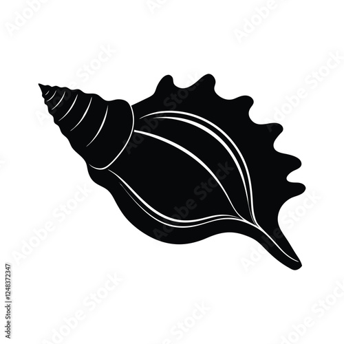 conch