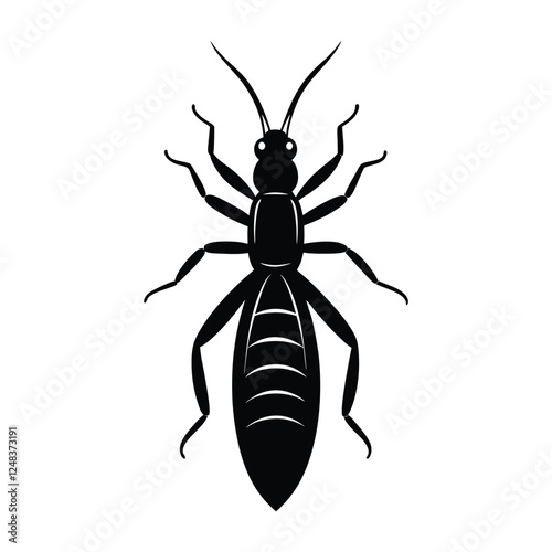 termite