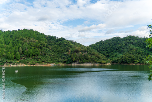 qiandao lake in the forest