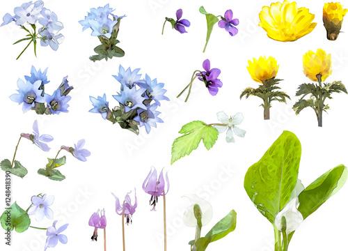 春の花のイラスト素材セット（野草2）