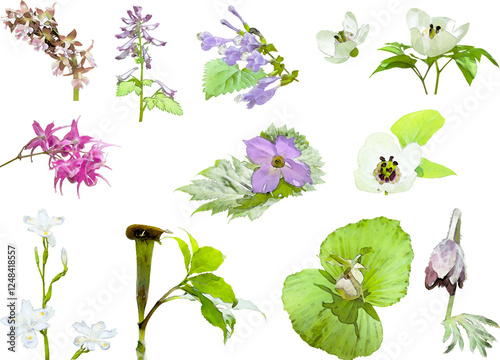 春の花のイラスト素材セット（野草3）