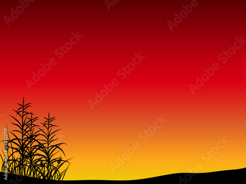 landscape background with reeds silhouette and sunset sky