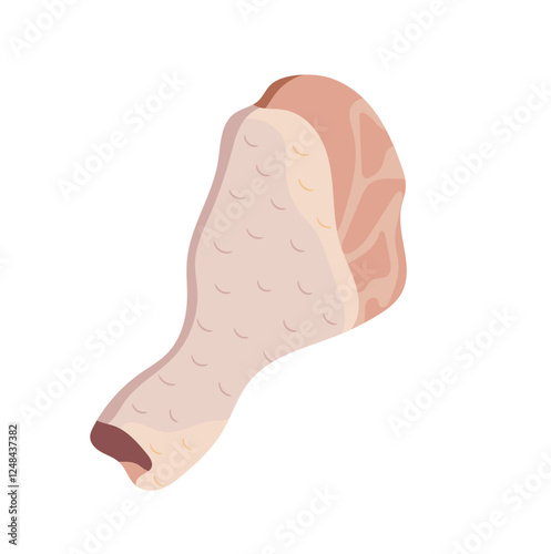 Raw Chicken Leg or Drumstick Illustration Isolated on White Background