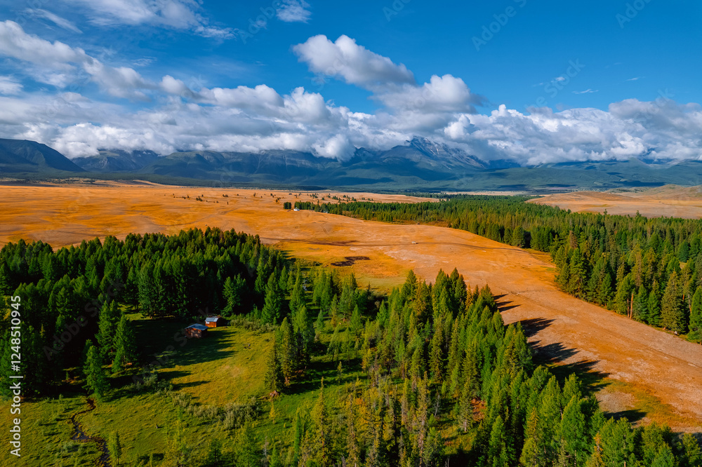 Naklejka premium Expansive mountain landscape with lush green forests and vast open fields