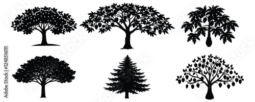 black tree of live icon. Evergreen forest firs and spruces black shapes, wild nature trees templates. Evergreen trees, pine tree, oak tree, trees forest, bushes trees no white background.