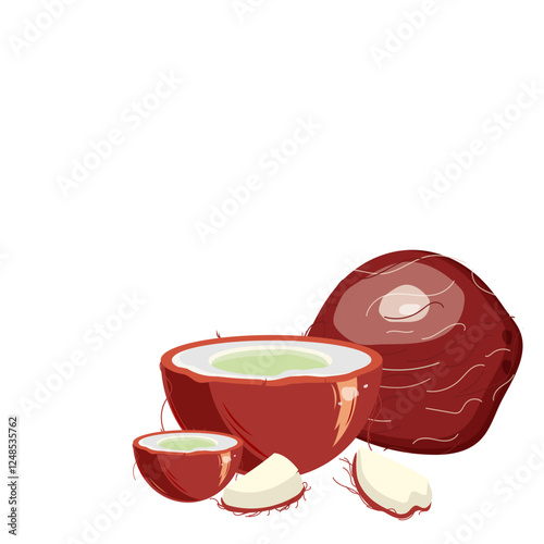 Vector illustration of coconut with slices.