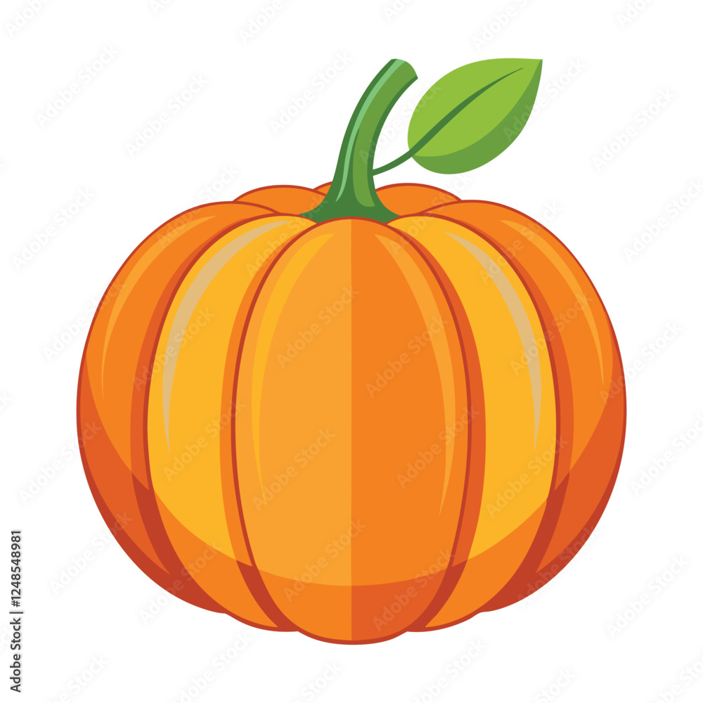 pumpkin isolated on white background pumpkin isolated on white background