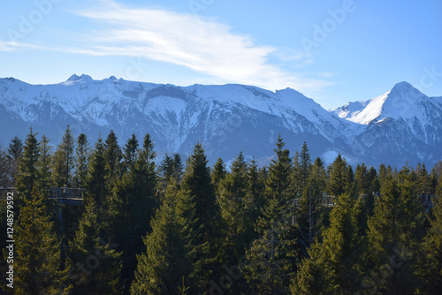 Tatra Mountains, with snow-capped peaks, rise against a clear blue sky. Canopy walkway winds through the evergreen forest. Dense woodland and panoramic winter landscape, forested slopes, eco-tourism. 
