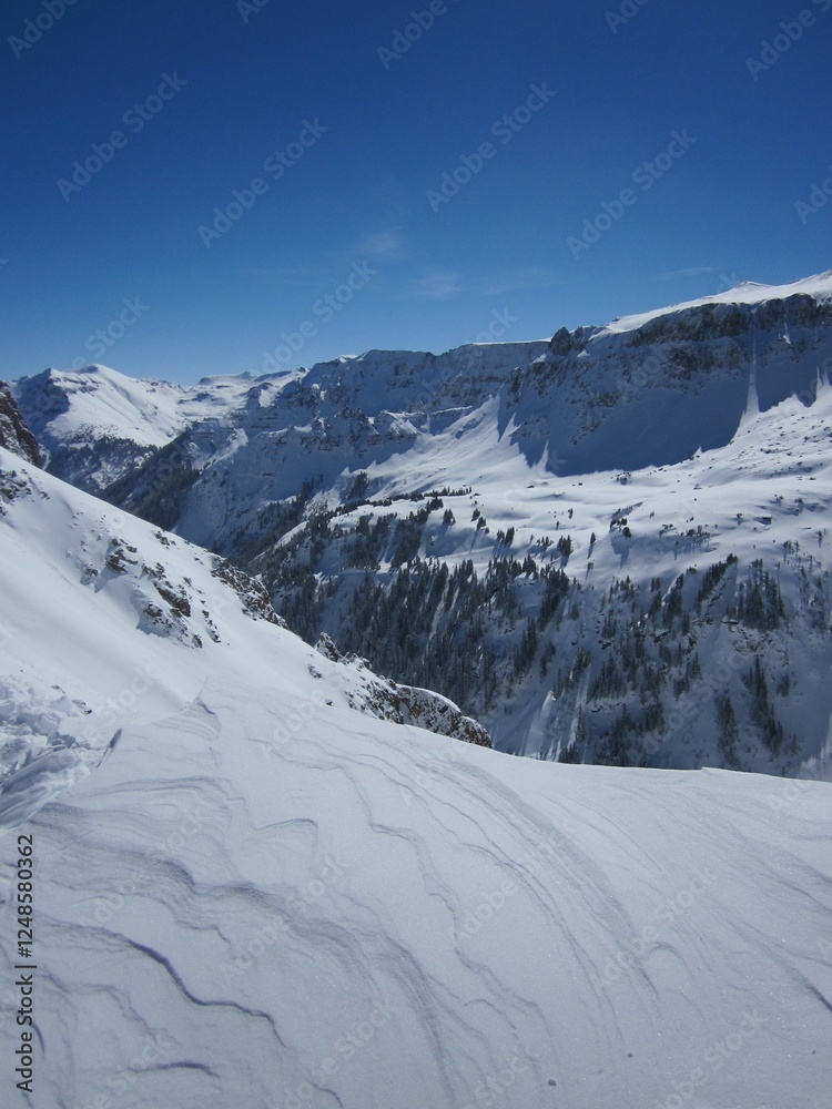 Obraz premium Wind blown powder high up in the San Juan Mountains in Colorado